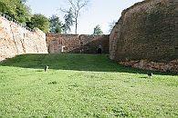 Img 193